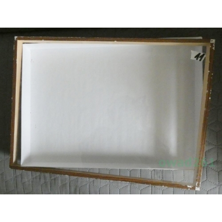 GABLOTA ENTOMOLOGICZNA OKLEINOWANA OSZKLONA 49/35cm z wyścieleniem (używana)11